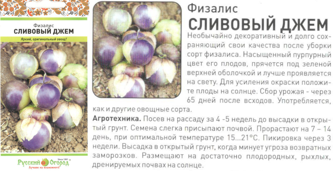 картинка Физалис Сливочный джем 30 шт. $ (НК) РО интернет-магазин "Дачник"