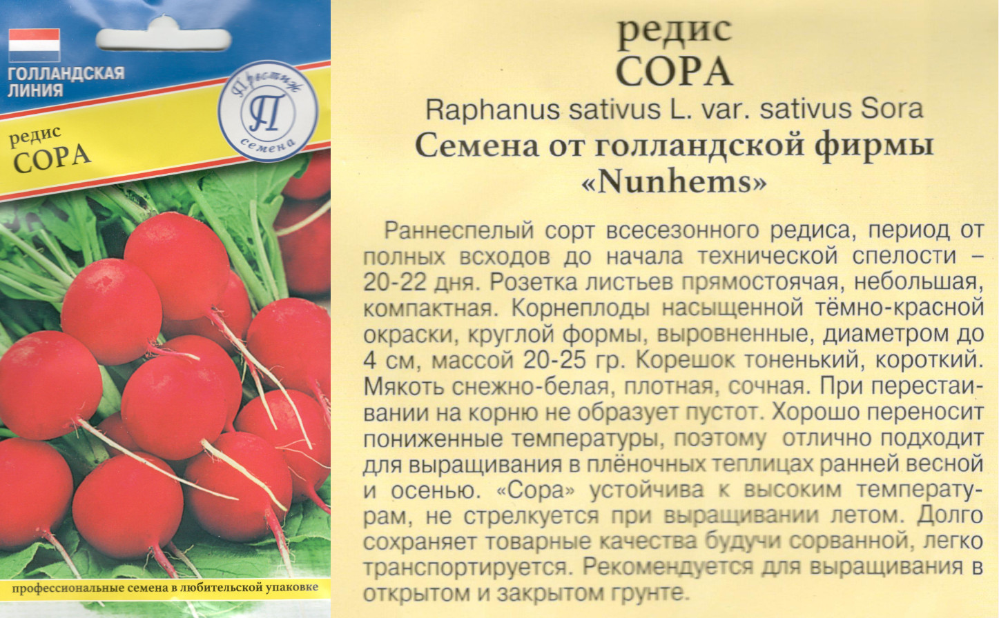 картинка Редис Сора 1 гр. $ Престиж интернет-магазин "Дачник"