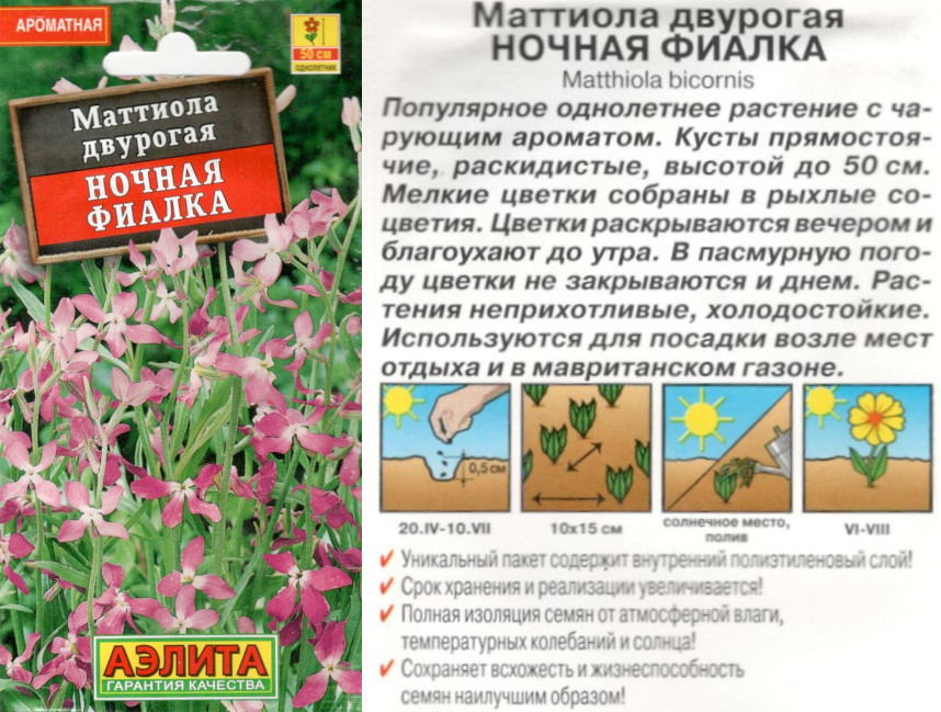 картинка Маттиола Ночная фиалка 0,5 гр.  двурогая $ Аэлита интернет-магазин "Дачник"