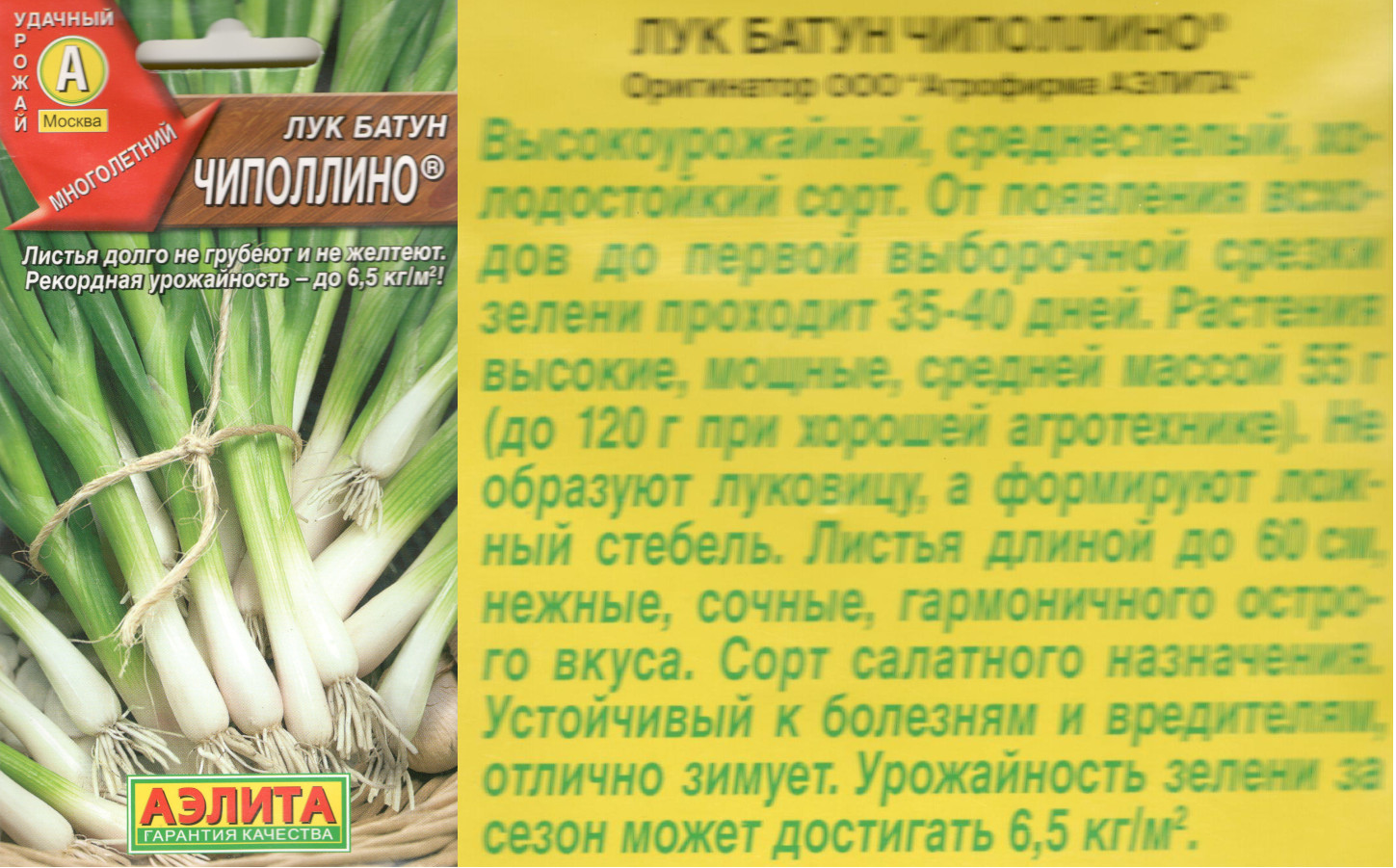 картинка Лук Чиполлино 0,5 гр. Батун $ Аэлита интернет-магазин "Дачник"