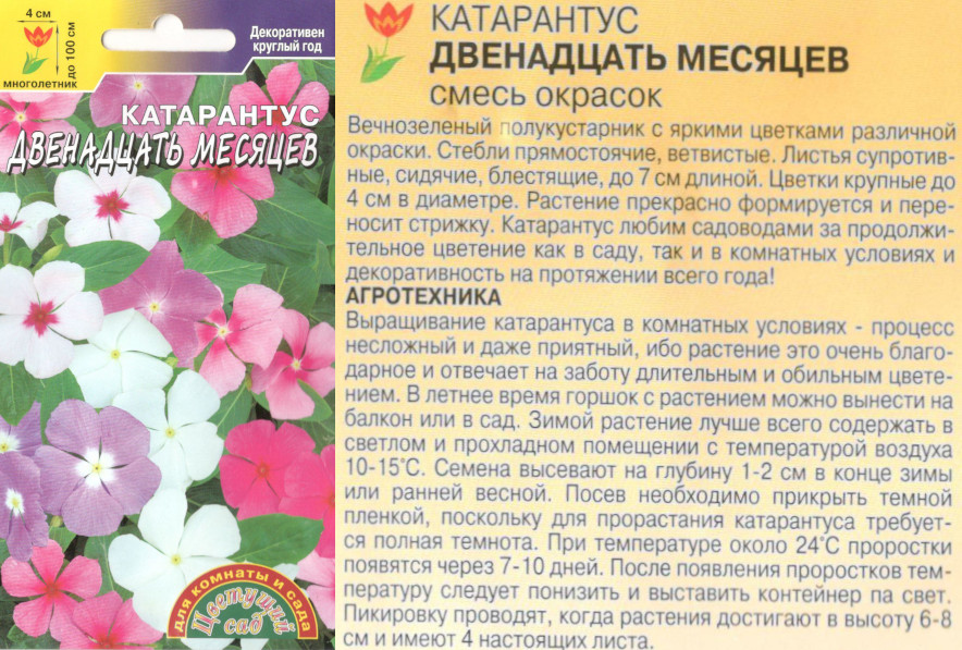 картинка Катарантус Двенадцать месяцев 0,05 гр. $ смесь (комнат.) Цв.сад интернет-магазин "Дачник"