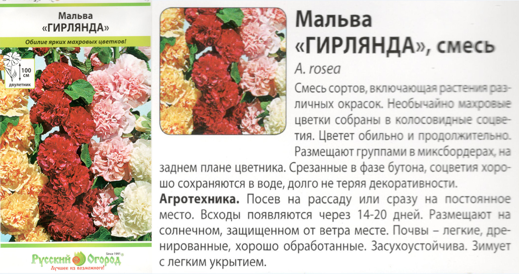 картинка Мальва Гирлянда 0,2 гр. смесь (двулет.) $ Цв.сад интернет-магазин "Дачник"