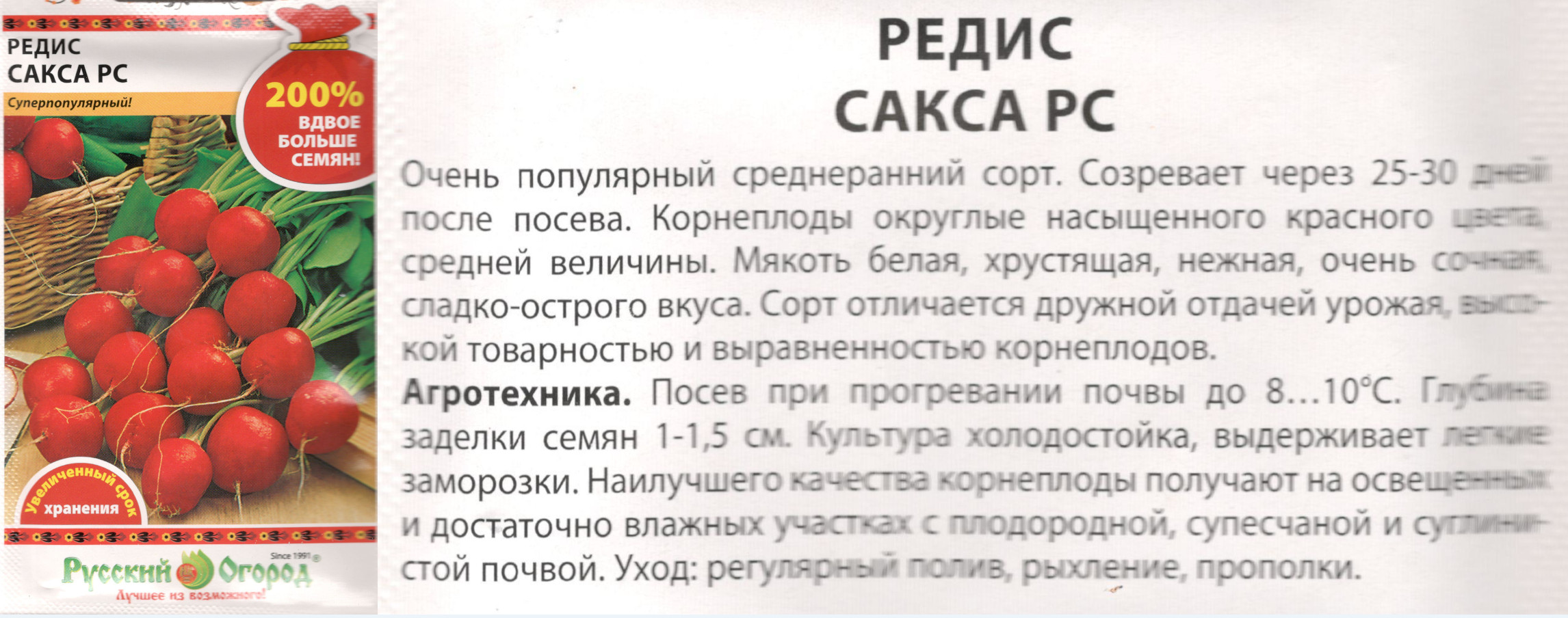 картинка Редис Сакса 6 гр. (200%) $ РО интернет-магазин "Дачник"