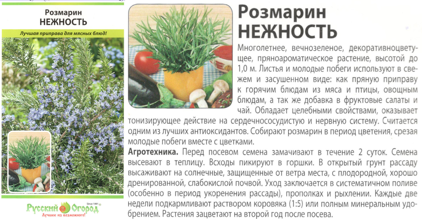 картинка Розмарин Нежность 0,02 гр. $ (НК) РО интернет-магазин "Дачник"