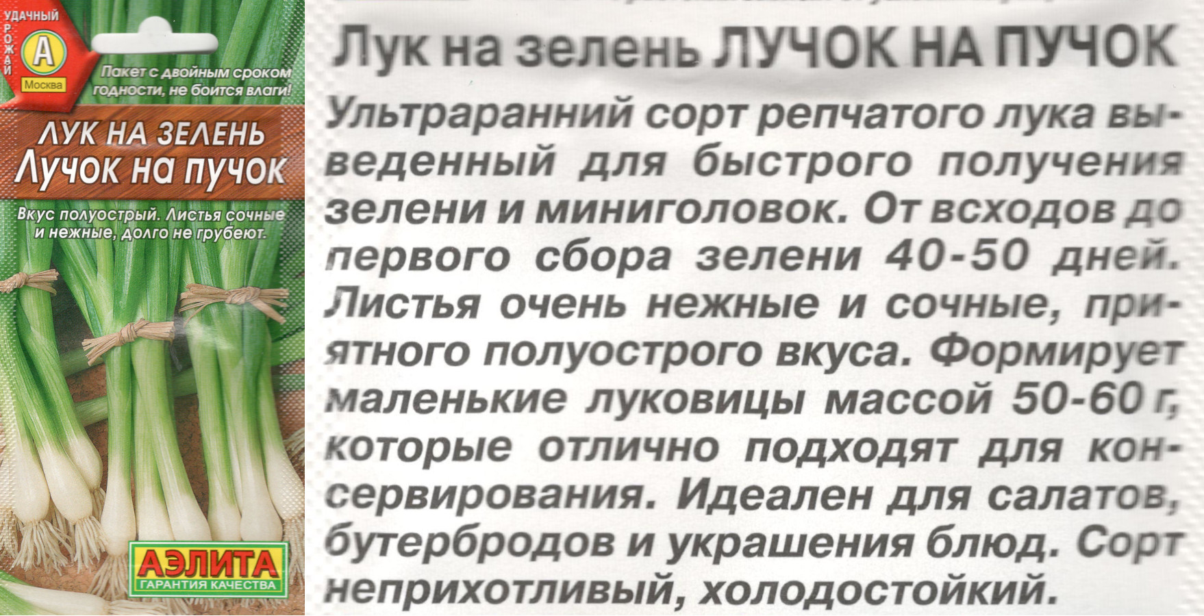 картинка Лук Лучок на пучок 0,5 гр. на зелень $ Аэлита интернет-магазин "Дачник"