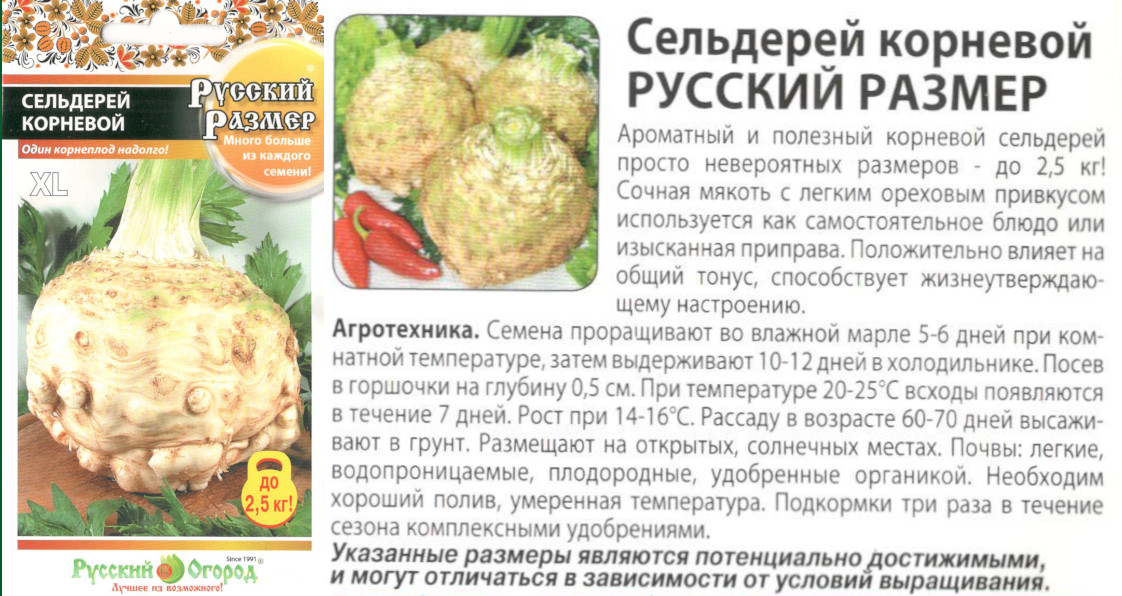 картинка Сельдерей корневой 100 шт. $ Русский размер / Цв.сад интернет-магазин "Дачник"