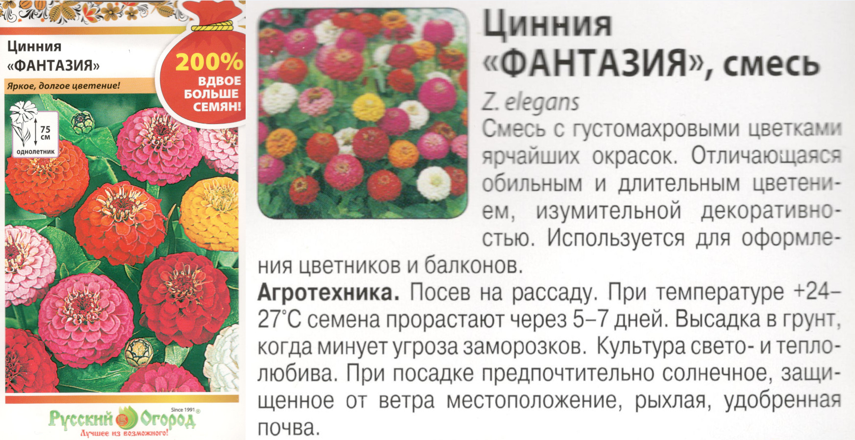 картинка Цинния Фантазия 1 гр. смесь (200% однолет.) $ Цв.сад интернет-магазин "Дачник"