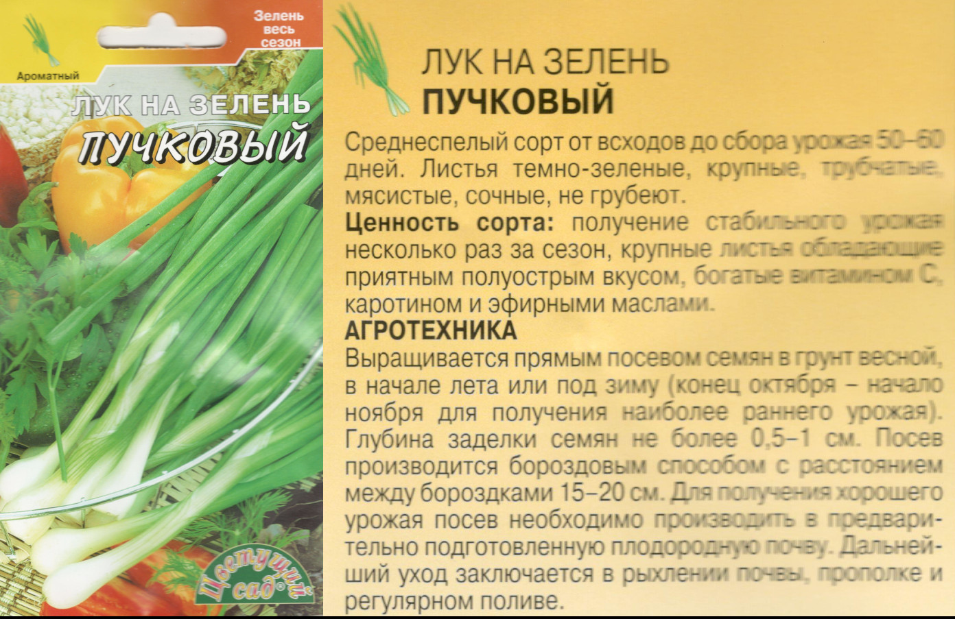 картинка Лук Пучковый 0,5 г. на зелень $ ЦвСад интернет-магазин "Дачник"