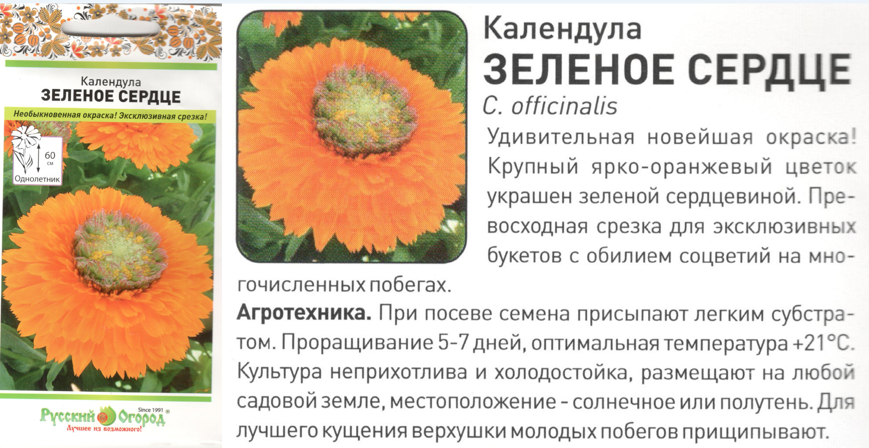 картинка Календула Зеленое сердце 40 шт. (НК) $ Цв.сад интернет-магазин "Дачник"