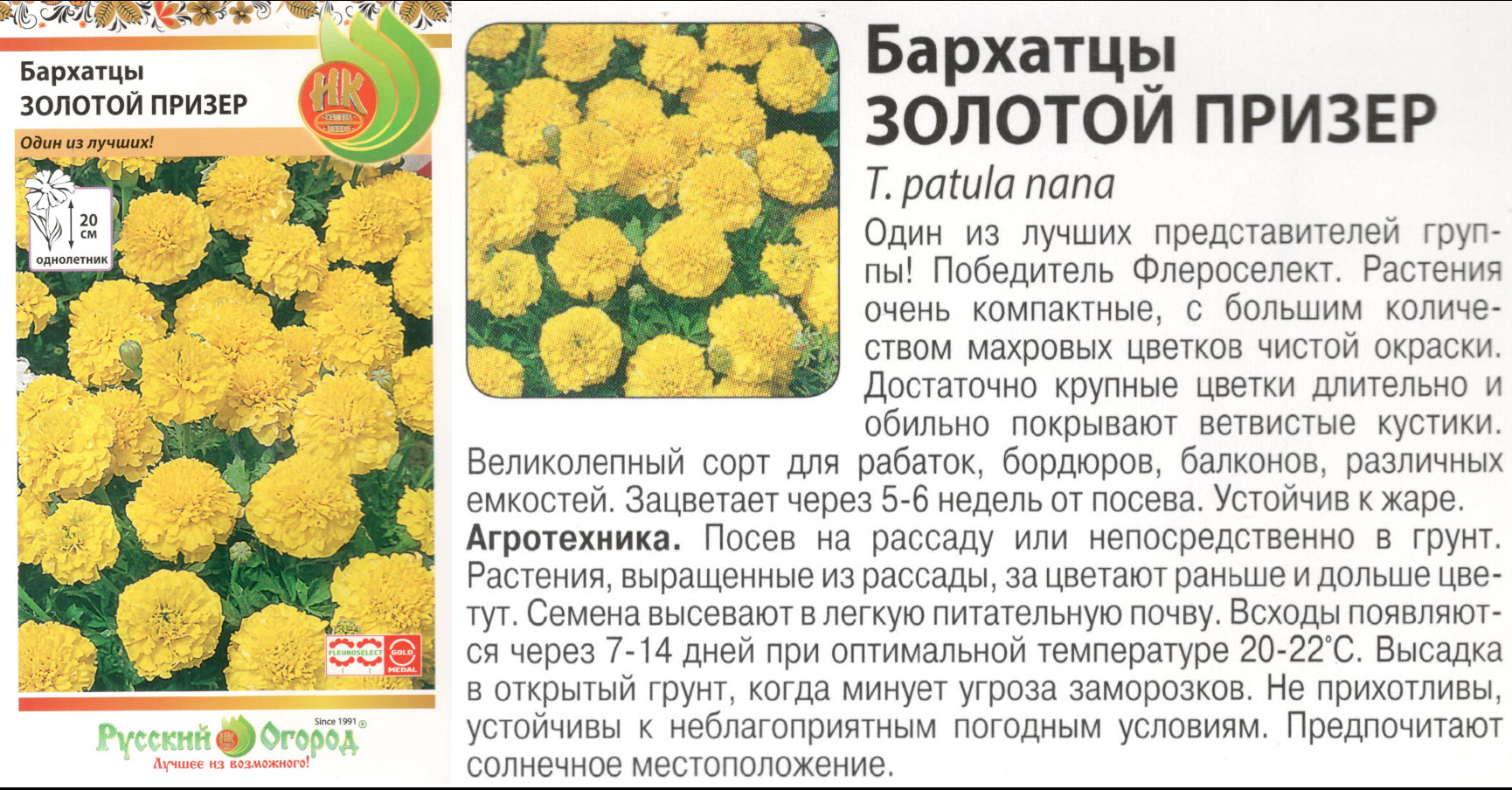 картинка Бархатцы Золотой Призер 0,1 гр. (однолет.) $ Цв.сад интернет-магазин "Дачник"