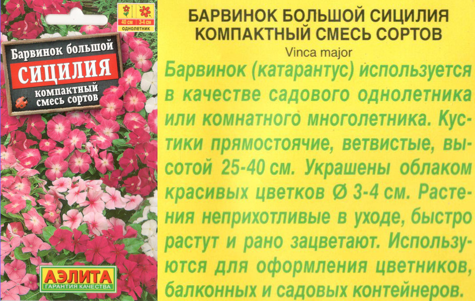 картинка Барвинок Сицилия 0,1 гр. $ смесь (амп.) Аэлита интернет-магазин "Дачник"