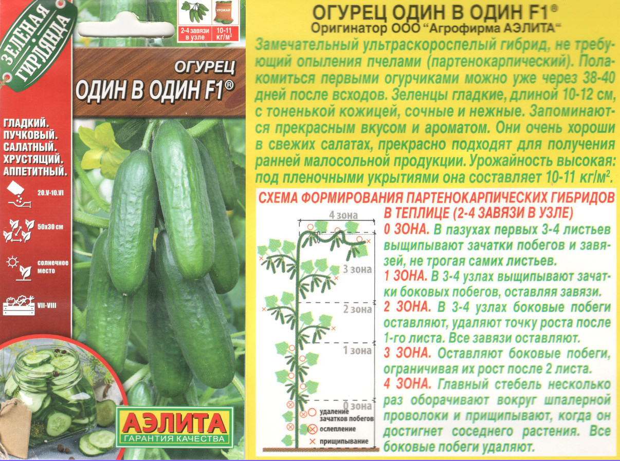 картинка Огурец Один в один 10 шт. $ Аэлита  интернет-магазин "Дачник"
