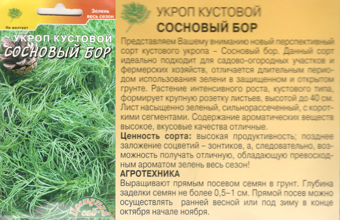 картинка Укроп Сосновый бор 2 гр. $ Цв.сад интернет-магазин "Дачник"
