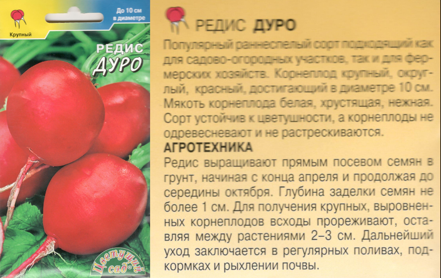картинка Редис Дуро 2 гр. $ Цв.сад интернет-магазин "Дачник"