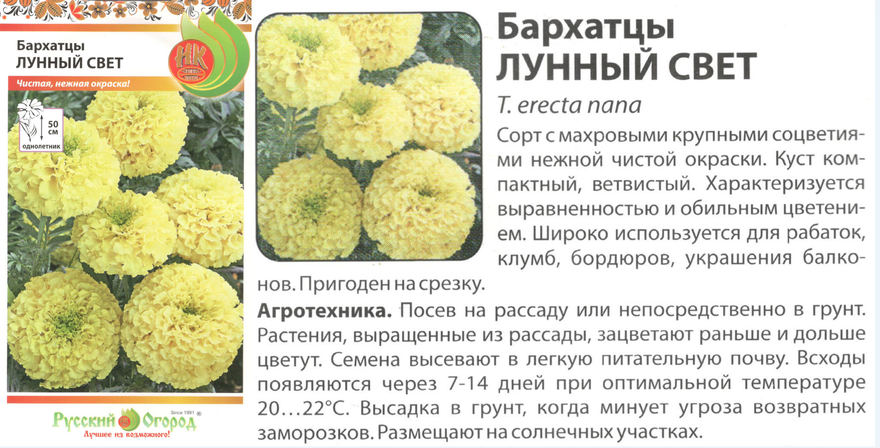 картинка Бархатцы Лунный свет 0,3 гр. (однол.) $ РО интернет-магазин "Дачник"