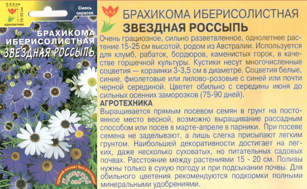 картинка Брахикома Звездная россыпь 0,1 гр. $ смесь / Цв.сад интернет-магазин "Дачник"