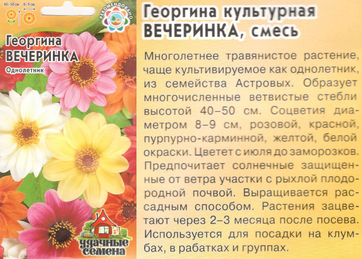 картинка Георгина Вечеринка 0,3 гр. смесь $ УС интернет-магазин "Дачник"