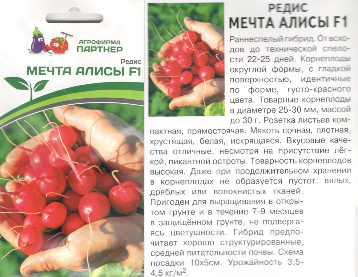 картинка Редис Мечта Алисы 1 гр. $ Партнер интернет-магазин "Дачник"