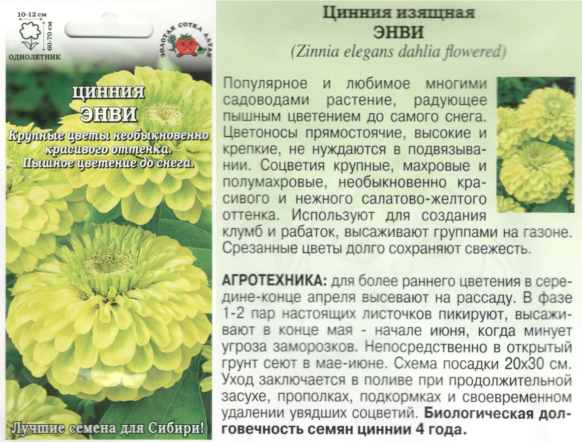 картинка Цинния Энви 0,3 гр. $ ЗСА интернет-магазин "Дачник"