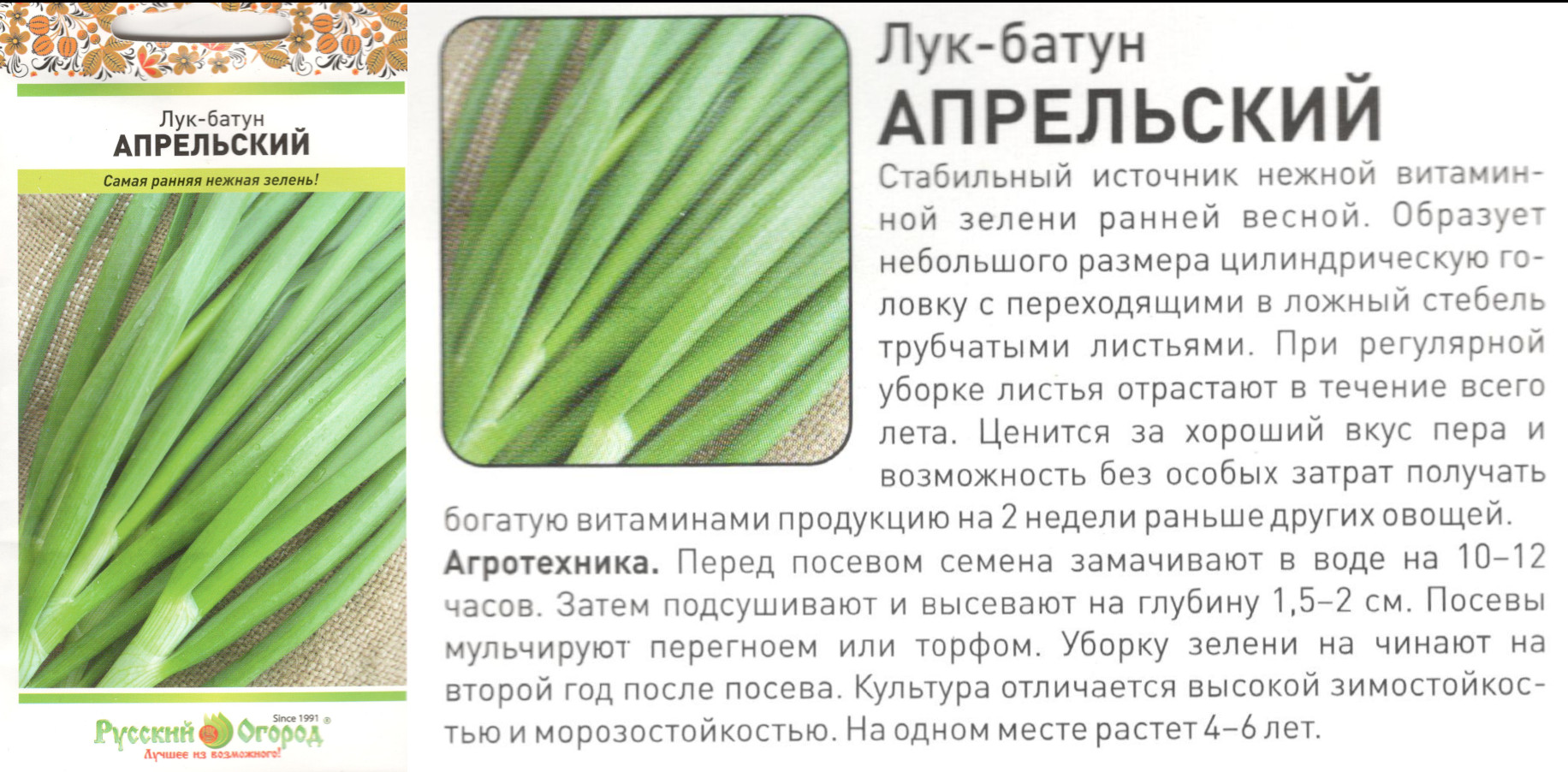 картинка Лук Апрельский 1 гр. батун (НК) $ РО интернет-магазин "Дачник"