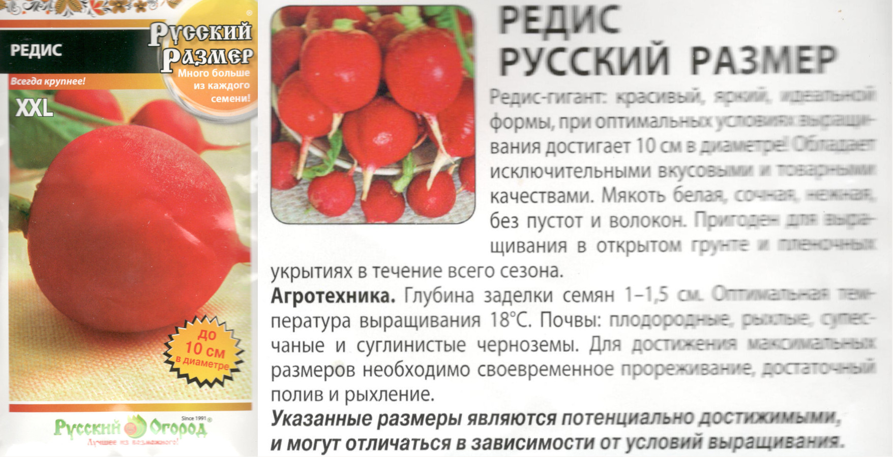 картинка Редис Красный 200 шт. Русский размер $ РО интернет-магазин "Дачник"
