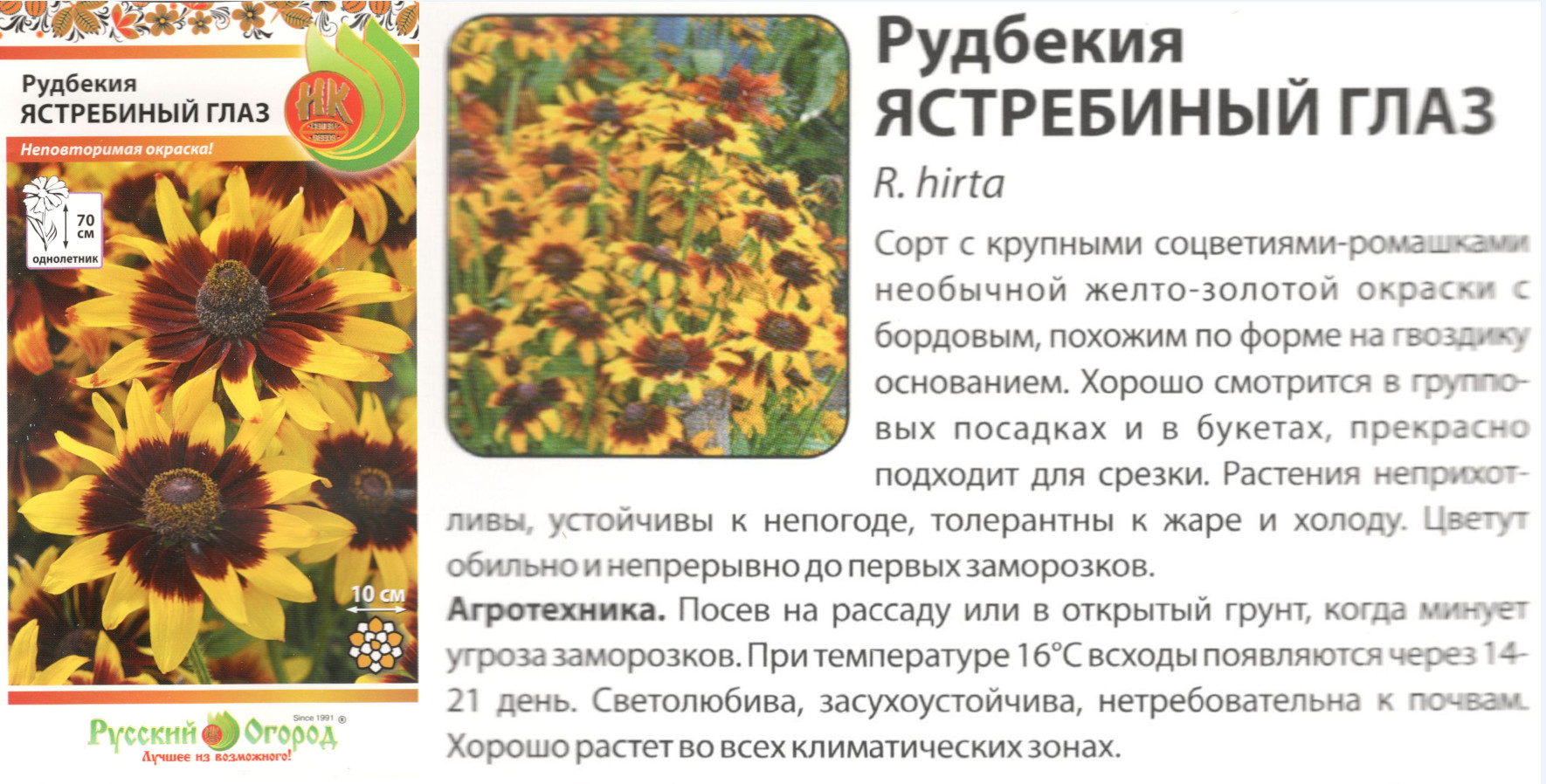 картинка Рудбекия Ястребиный глаз 30 шт. (НК) $ РО интернет-магазин "Дачник"