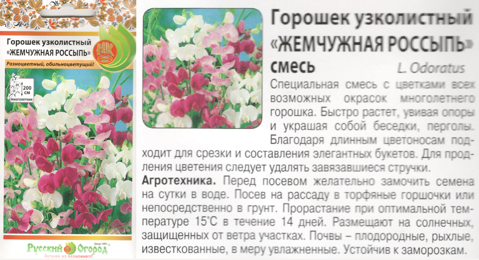 картинка Душистый горошек Жемчужная россыпь 0,5 гр. смесь (НК) $ Цв.сад интернет-магазин "Дачник"