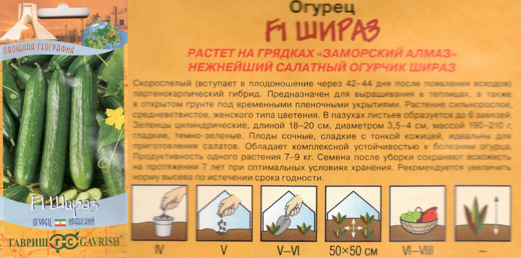 картинка Огурец Шираз 10 шт. (Гавриш) $ Сем.Алтая интернет-магазин "Дачник"
