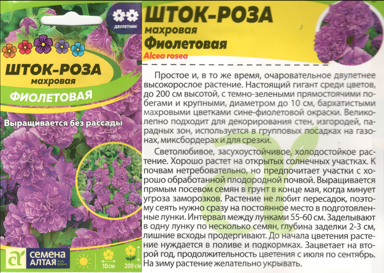 картинка Шток-роза Фиолетовая 0,1 гр. $ Семена Алтая интернет-магазин "Дачник"