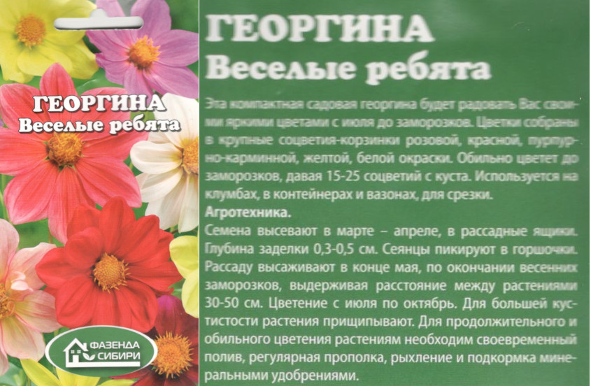 картинка Георгина Веселые ребята 0,2 гр. смесь $ Фазенда Сибири интернет-магазин "Дачник"