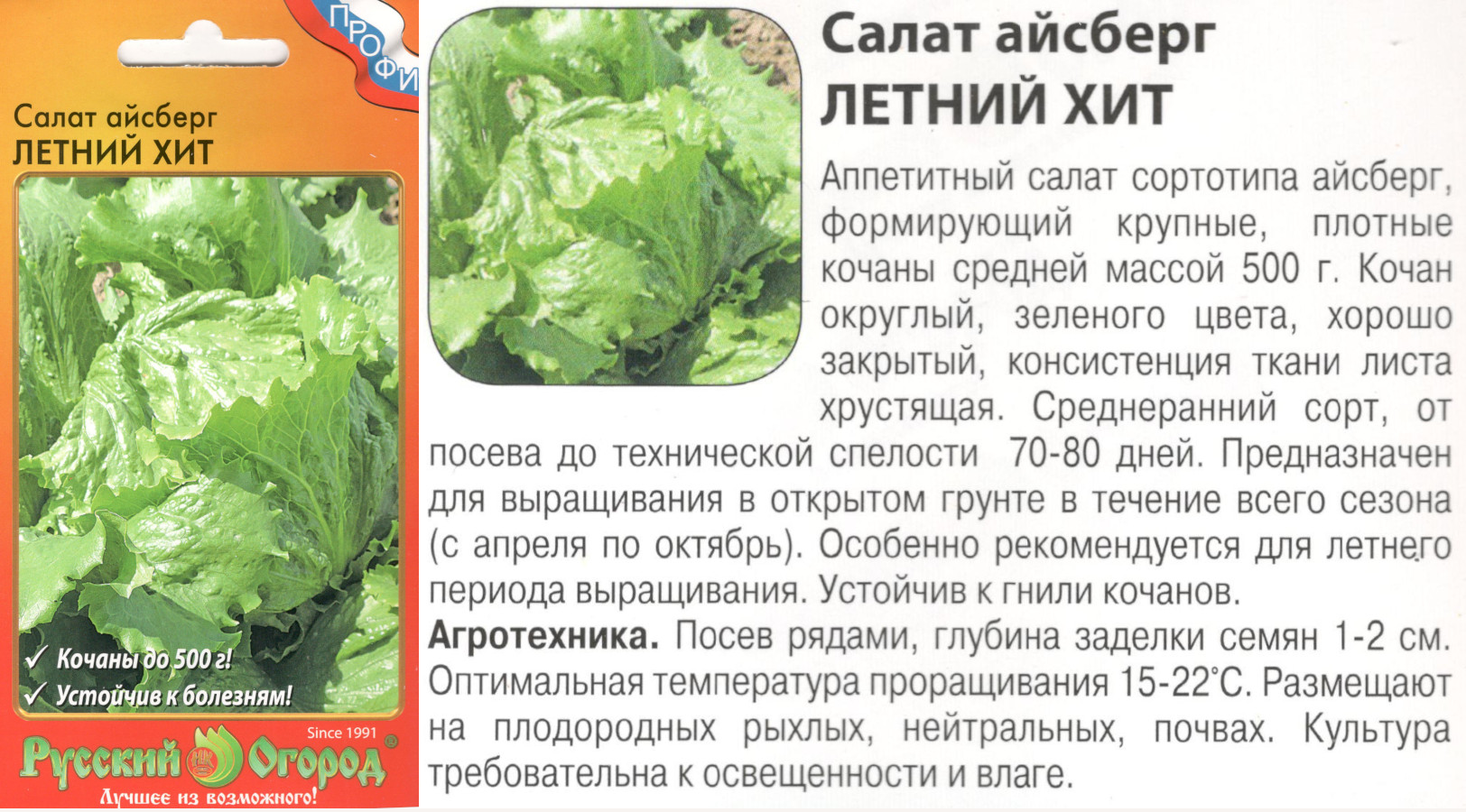 картинка Салат Айсберг Летний хит 0,5 гр. $ (Профи) РО интернет-магазин "Дачник"