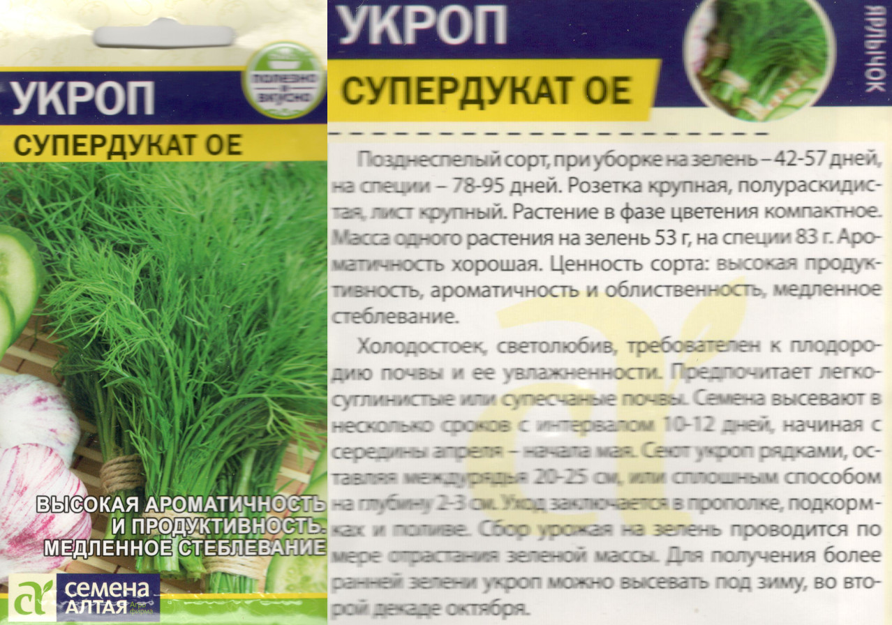 картинка Укроп Супердукат 2 гр. $ Семена Алтая интернет-магазин "Дачник"
