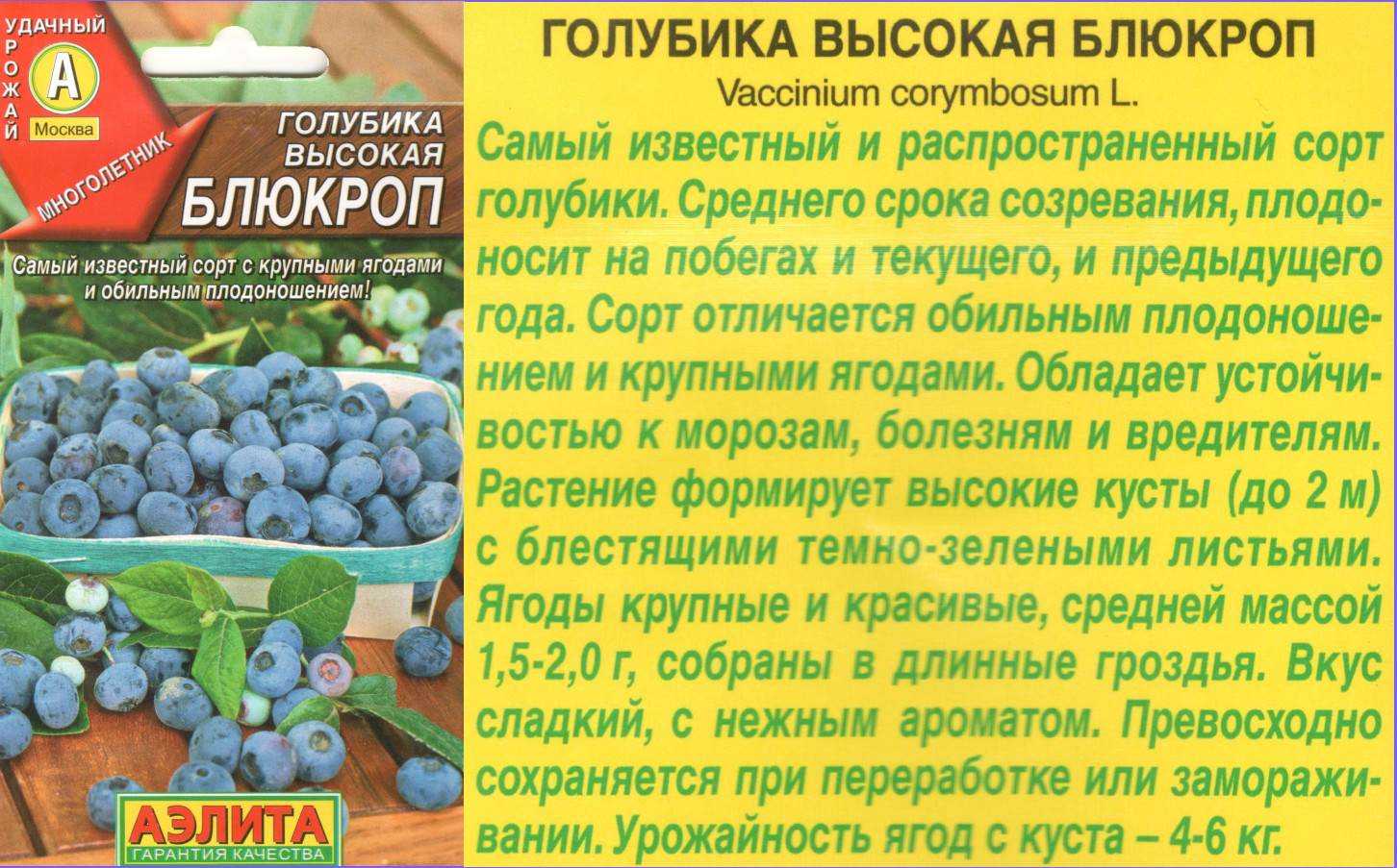 картинка Голубика Блюклоп 0,01 гр. высокая $ / Аэлита интернет-магазин "Дачник"