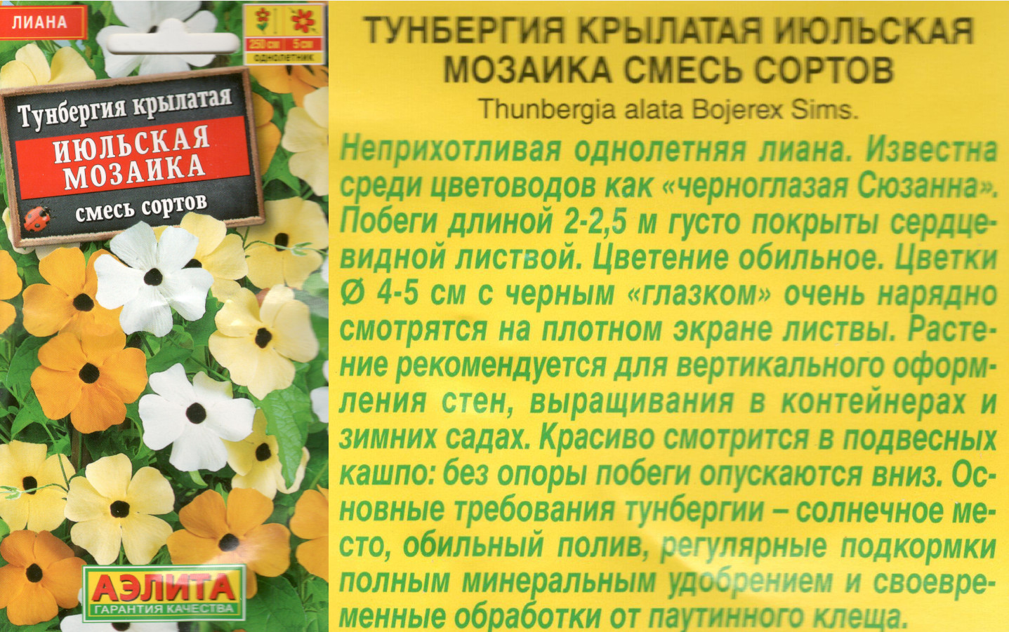 картинка Тунбергия Июльская мозаика 0,3 гр. смесь $ Аэлита интернет-магазин "Дачник"