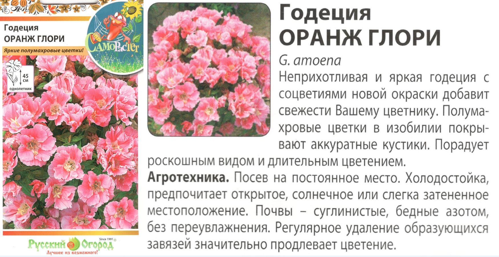 картинка Годеция Оранж Глори 0,05 гр. (НК) $ РО интернет-магазин "Дачник"