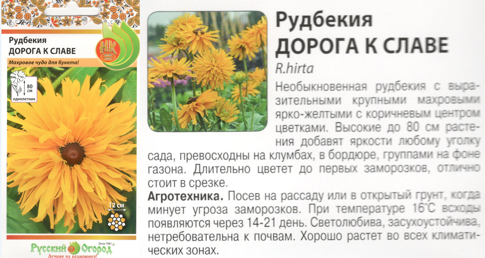 картинка Рудбекия Дорога к славе 30 шт. $ РО интернет-магазин "Дачник"