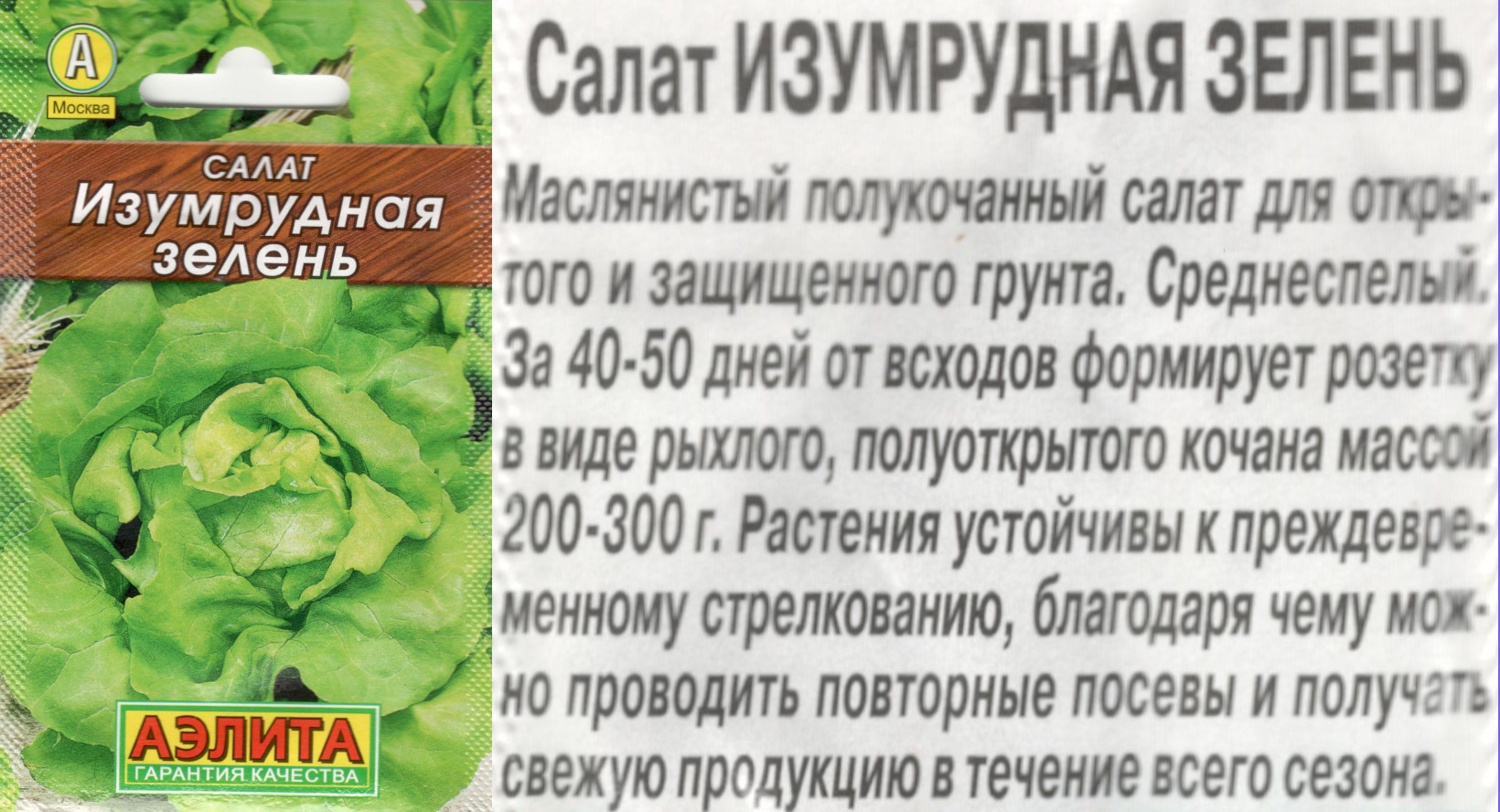 картинка Салат Изумрудная зелень 0,5 гр. $ полукоч. (Лидер) Аэлита интернет-магазин "Дачник"