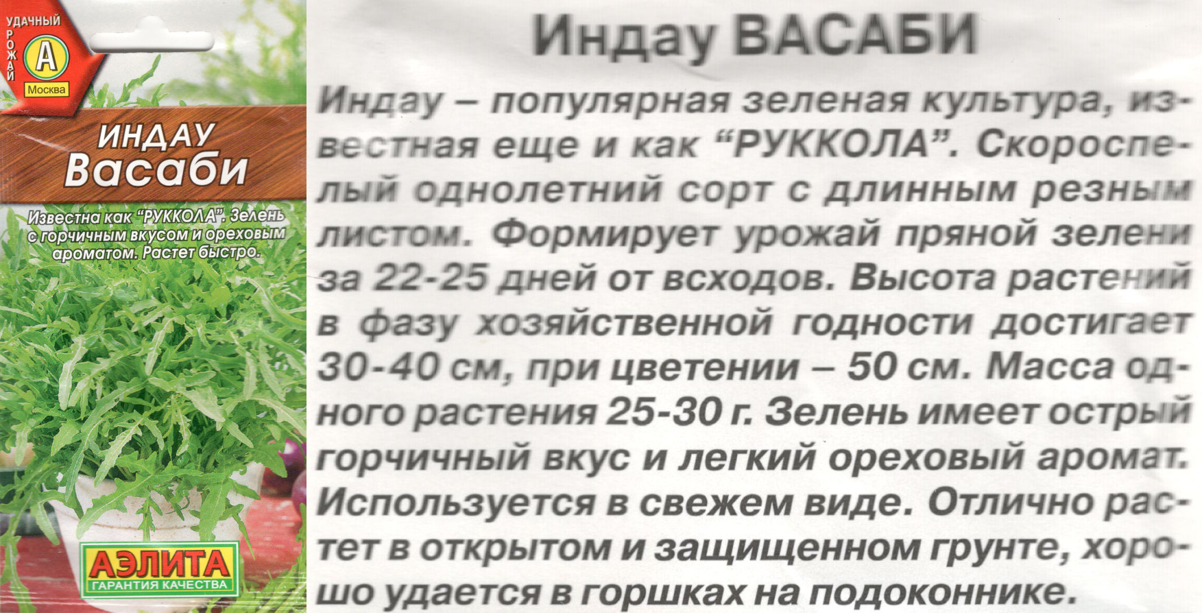 картинка Рукола Васаби 0,3 гр. индау $ / Аэлита интернет-магазин "Дачник"