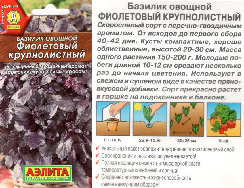 картинка Базилик Фиолетовый 0,1 гр. крупнолистный $ Аэлита интернет-магазин "Дачник"