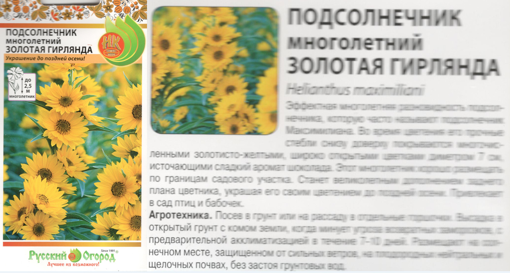 картинка Подсолнечник Золотая гирлянда 50 шт. (НК) $ РО интернет-магазин "Дачник"