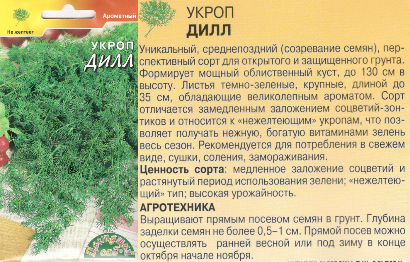 картинка Укроп Дилл 2 гр. $ Цв.сад интернет-магазин "Дачник"