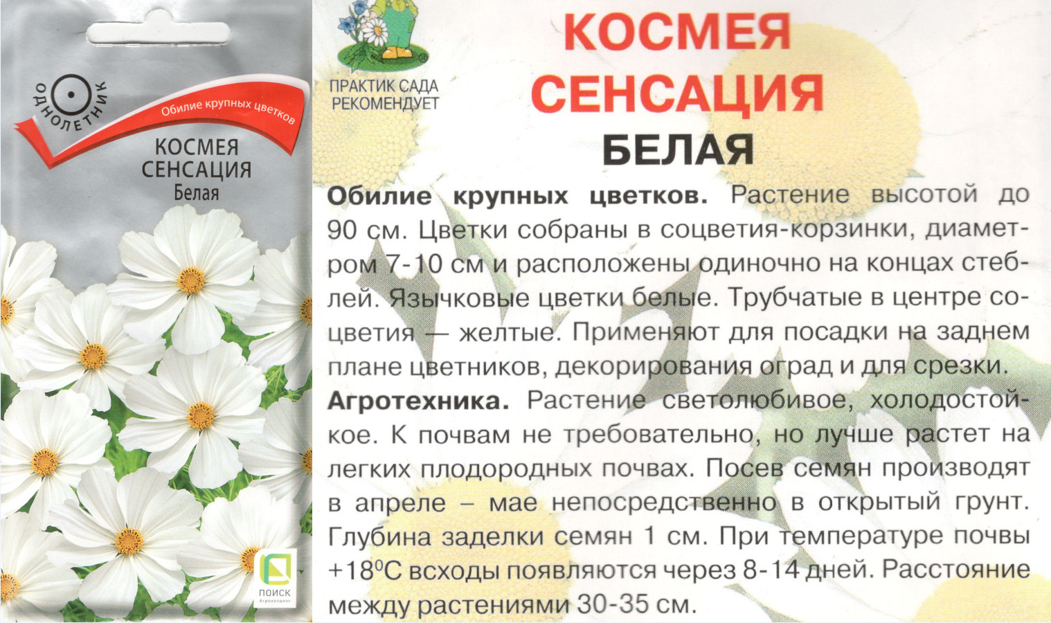 картинка Космея Сенсация 0,3 гр. белая $ Поиск интернет-магазин "Дачник"