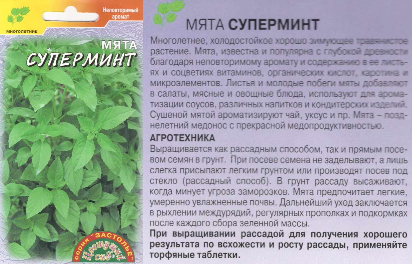 картинка Мята Суперминт 0,03 гр. $ Цв.сад интернет-магазин "Дачник"