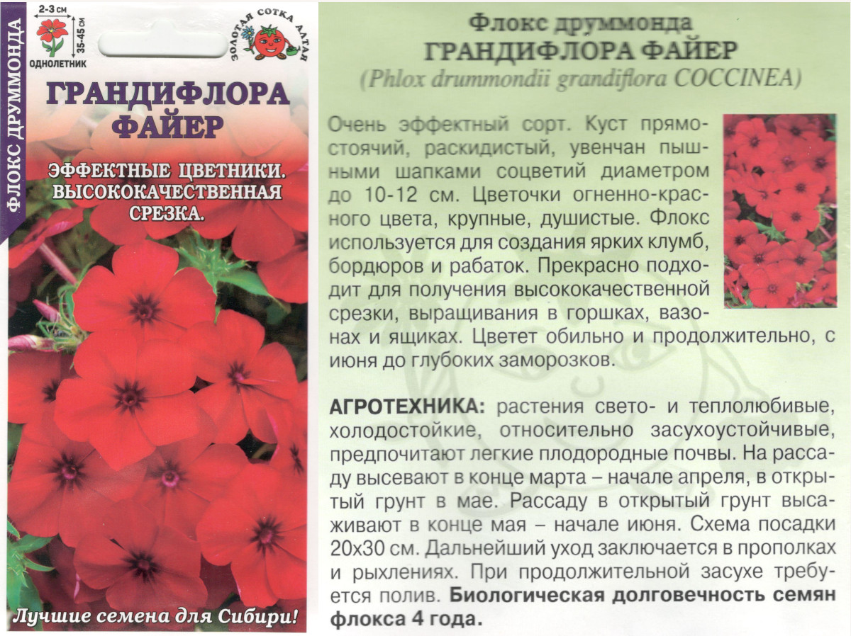 картинка Флокс Друммонда 0,2 гр. Грандифлора Файер $ ЗСА  интернет-магазин "Дачник"