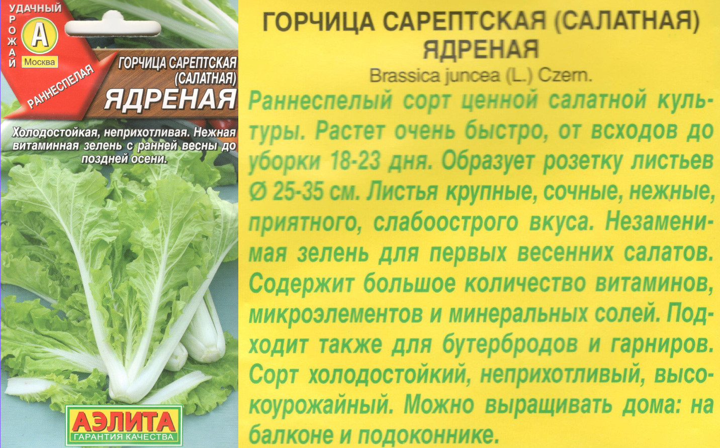 картинка Горчица Ядреная 0,5 гр. салатная $ / Аэлита интернет-магазин "Дачник"