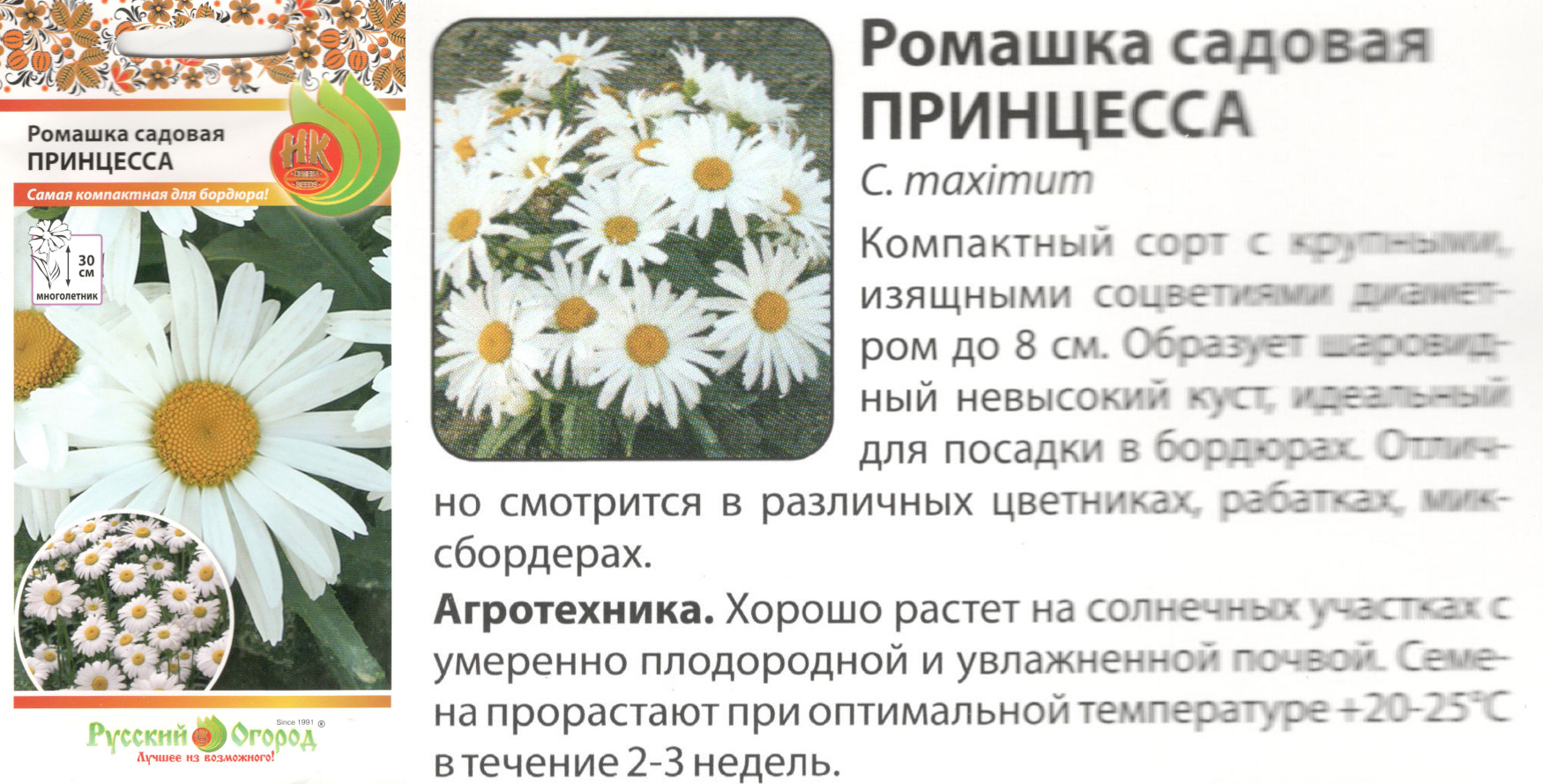 картинка Ромашка Принцесса 0,3 гр. садовая (НК) $ РО интернет-магазин "Дачник"