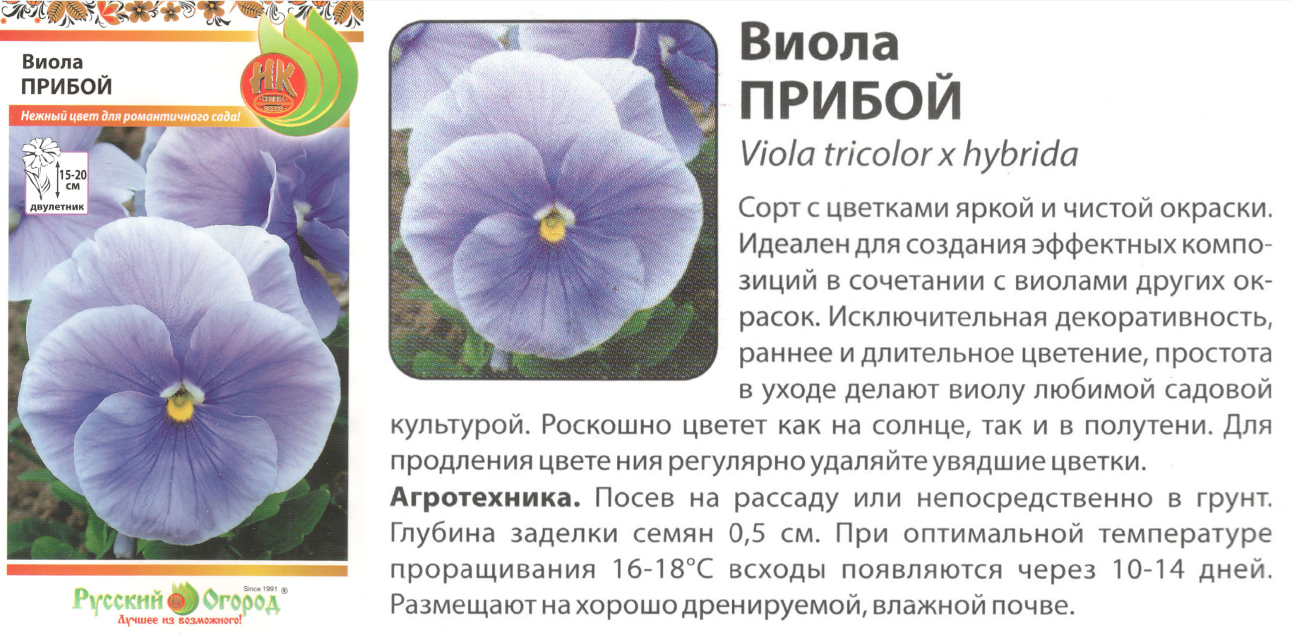 картинка Виола Прибой 0,1 гр. (двулет.) $ РО интернет-магазин "Дачник"