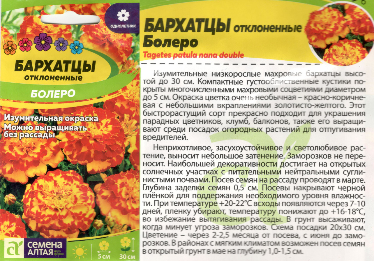 картинка Бархатцы Болеро 0,2 гр. $ Сем.Алтая интернет-магазин "Дачник"